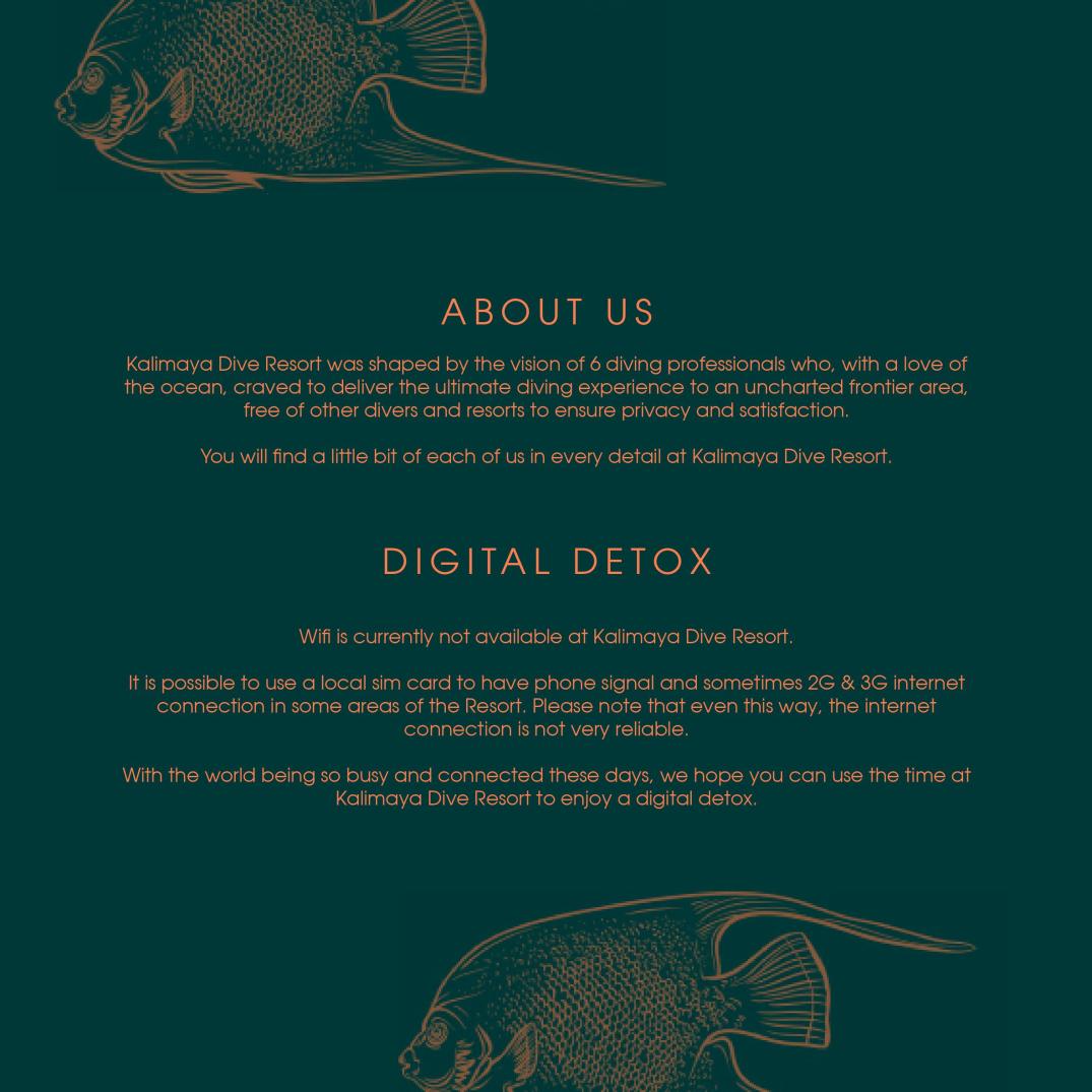 Kalimaya Brochure-12